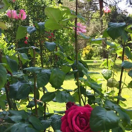 Valleverde * Caraglio