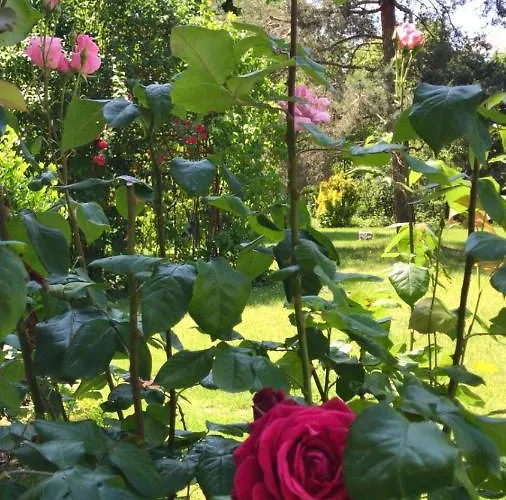 Valleverde * Caraglio